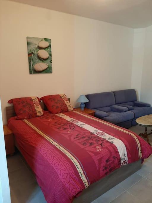 Apartamento Confortable En Hyper Centre Parking Gratuit Dans La Rue Acces Avec Boite A Clee Castres  Exterior foto