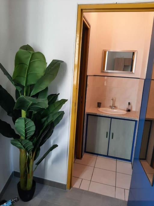 Apartamento Confortable En Hyper Centre Parking Gratuit Dans La Rue Acces Avec Boite A Clee Castres  Exterior foto